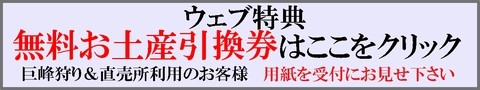 信州 長野県 生坂村 ぶどう狩り 巨峰狩り 季来里ふぁーむすずき