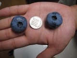 32e6d3b5.JPG