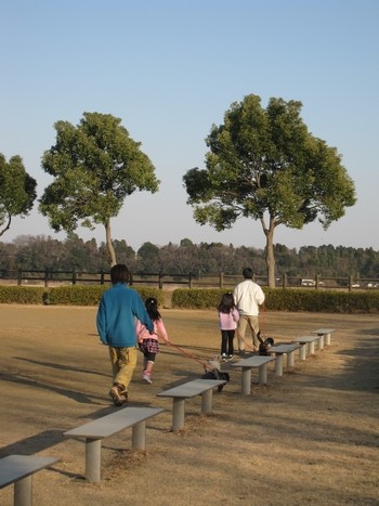 茨城県 茎崎市 茎崎公園