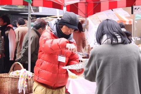 信州 長野県 生坂村 巨峰