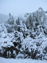 信州 長野 生坂村 雪