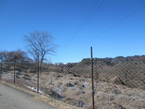 信州 長野県 生坂村 ぶどう 季来里ふぁーむ・すずき