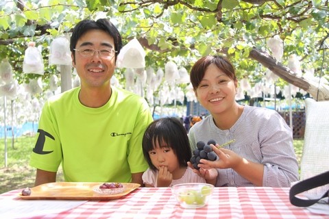 長野県 生坂村 ぶどう狩り 巨峰狩り 季来里ふぁーむすずき