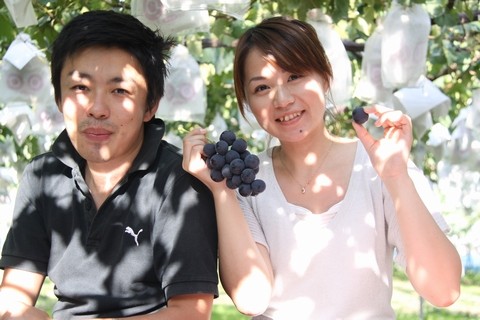 長野県 生坂村 ぶどう狩り 巨峰狩り 季来里ふぁーむすずき