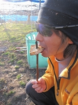 信州 長野 生坂 ぶどう