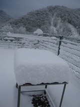 信州 長野 生坂村 雪かき