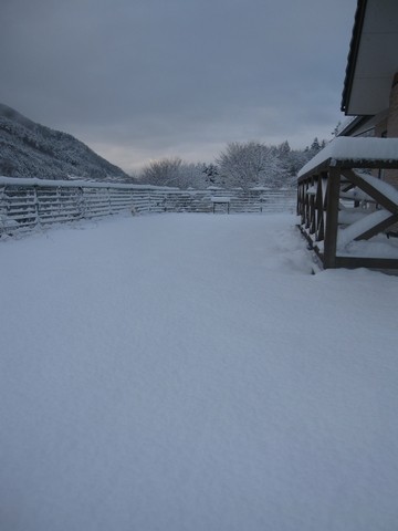 信州 長野県 生坂村 雪