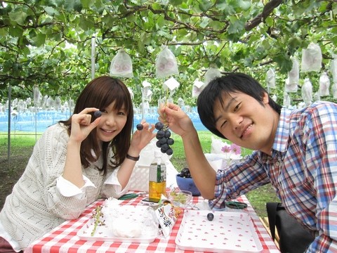 長野県 ナイヤガラ シナノスマイル シャインマスカット 直売 季来里ふぁーむすずき