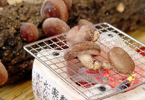長野県 ナイヤガラ シナノスマイル シャインマスカット 直売 季来里ふぁーむすずき