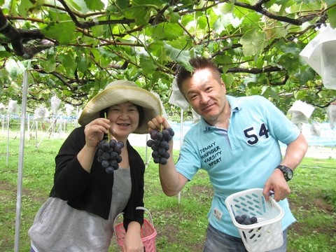 長野県 ナイヤガラ シナノスマイル 直売 季来里ふぁーむすずき