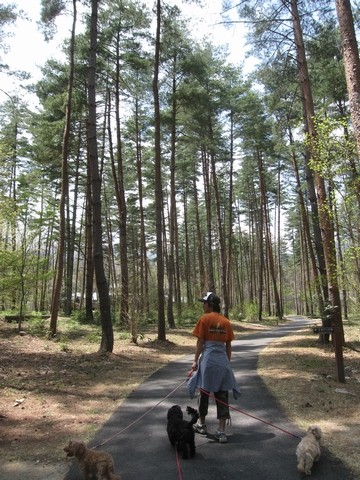 信州 長野県 安曇野 国営アルプス あづみの公園