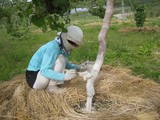 信州 長野県 生坂村 ぶどう園