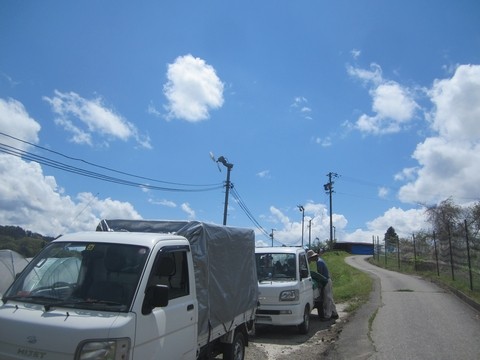 信州 長野県 生坂村 種なしぶどう 季来里ふぁーむ