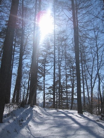 信州 長野県 生坂村 農村公園