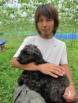 信州 長野県 生坂村 ぶどう