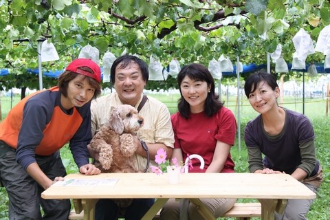 信州 長野県 生坂村 シャインマスカット ピオーネ