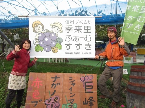 信州 長野県 生坂村 ぶどう 季来里ふぁーむ・すずき