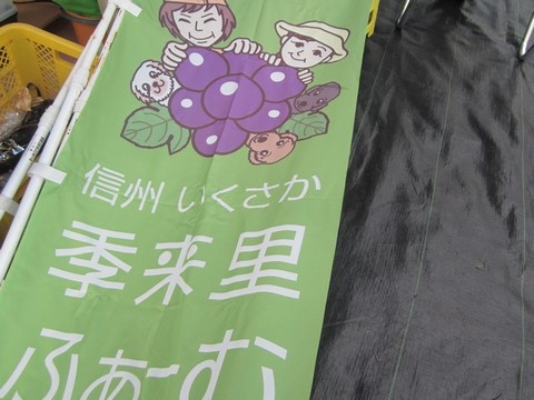 信州 長野県 生坂村 ぶどう 巨峰