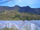 CIMG2160