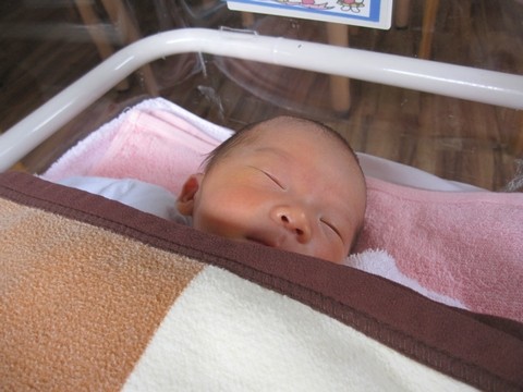 信州 長野県 生坂村 きらりふぁーむ
