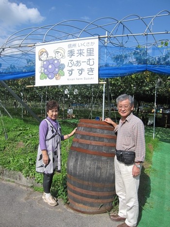 信州 長野県 生坂村 ぶどう園
