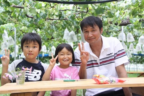 信州 長野県 生坂村 ぶどう狩り 巨峰狩り 季来里ふぁーむすずき