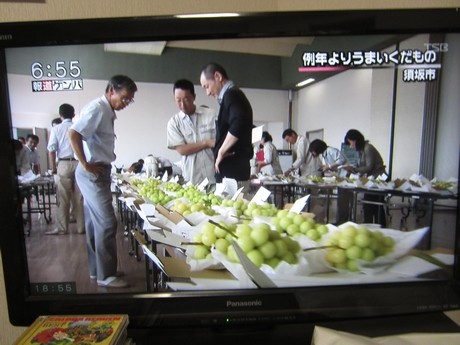 信州 長野県 うまいくだものコンクール
