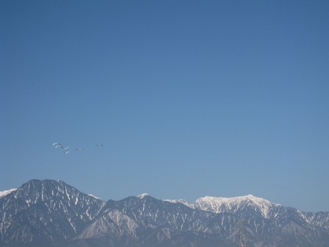 信州 長野県 安曇野 白鳥