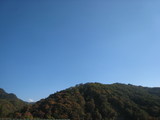 信州 長野県 生坂村 ぶどう園