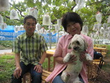 信州 長野県 生坂村 ぶどう園