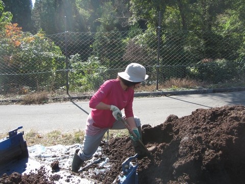 信州 長野県 生坂村 ぶどう 季来里ふぁーむ・すずき