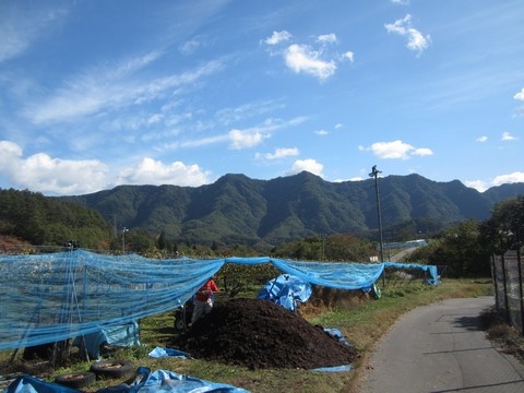 信州 長野県 生坂村 ぶどう狩り 季来里ふぁーむ・すずき
