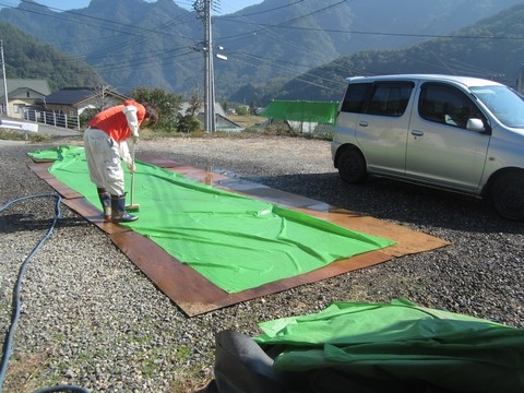 信州 長野県 生坂村 巨峰 季来里ふぁーむ・すずき