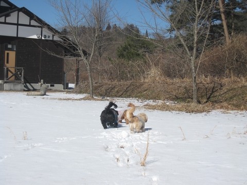 信州 長野県 生坂村 農村公園