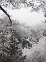 信州 長野 乗鞍 ウインズ