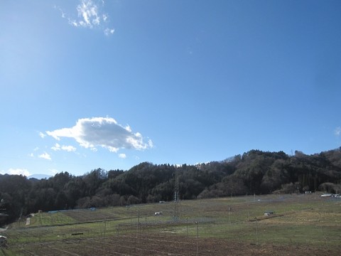 信州 長野県 生坂村 季来里ふぁーむ・すずき ぶどう
