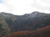 8d493f5e.jpg