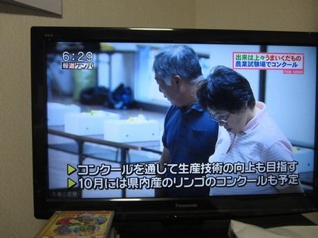 信州 長野県 うまいくだものコンクール