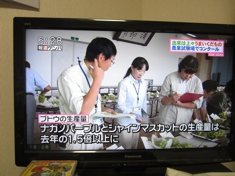 信州 長野県 うまいくだものコンクール