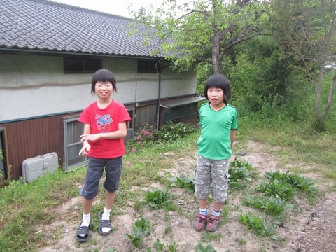 信州 長野県 生坂村 古民家