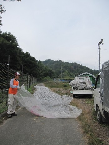 信州 長野県 生坂村 ぶどう
