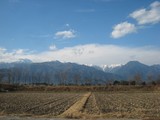a23d2464.jpg