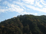 信州 長野県 生坂村 ぶどう園
