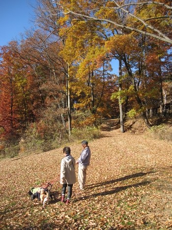信州 長野県 松本 アルプス公園