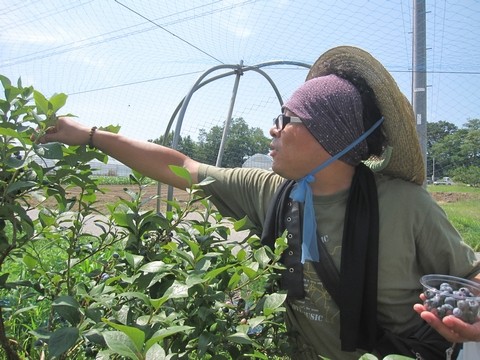 信州 長野県 生坂村 ブルーベリー きらりふぁーむ