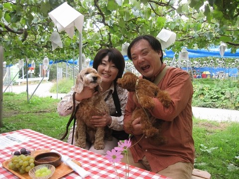 長野県 シャインマスカット 直売 季来里ふぁーむすずき