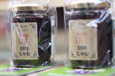 信州 長野県 生坂村 ぶどう
