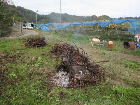 信州 長野県 生坂村 ぶどう きらりふぁーむ