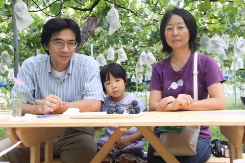 信州 長野県 生坂村 ぶどう狩り 巨峰狩り 季来里ふぁーむすずき