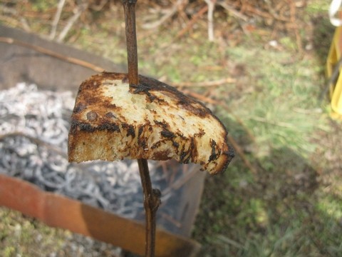 信州 長野県 生坂村 ぶどうの剪定